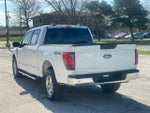 2025 F-150 Thumbnail 3