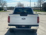 2025 F-150 Thumbnail 4