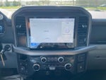 2025 F-150 Thumbnail 10