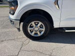 2025 F-150 Thumbnail 22