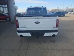 2025 F-150 Thumbnail 15