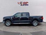 2025 F-150 Thumbnail 2