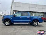 2025 F-150 Thumbnail 9