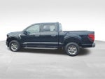 2025 F-150 Thumbnail 7