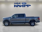 2024 F-150 Thumbnail 4