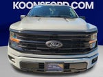 2024 F-150 Thumbnail 8