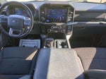 2024 F-150 Thumbnail 12