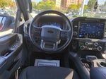 2024 F-150 Thumbnail 13