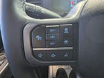 2025 F-150 Thumbnail 18
