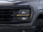 2025 F-150 Thumbnail 18