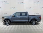 2025 F-150 Thumbnail 7