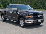 2025 F-150 Thumbnail 1