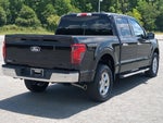 2025 F-150 Thumbnail 3