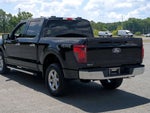 2025 F-150 Thumbnail 5