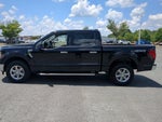 2025 F-150 Thumbnail 6