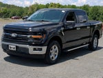 2025 F-150 Thumbnail 7