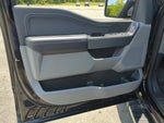 2025 F-150 Thumbnail 12