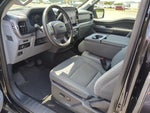 2025 F-150 Thumbnail 15