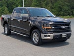 2025 F-150 Thumbnail 37