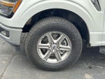 2025 F-150 Thumbnail 10
