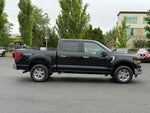 2025 F-150 Thumbnail 2