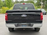 2025 F-150 Thumbnail 4