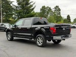 2025 F-150 Thumbnail 5