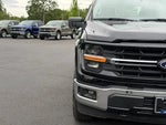 2025 F-150 Thumbnail 8