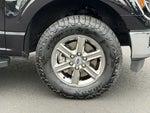 2025 F-150 Thumbnail 10