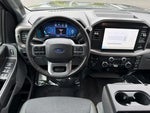 2025 F-150 Thumbnail 12
