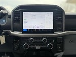 2025 F-150 Thumbnail 13