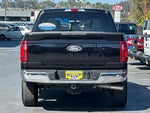 2025 F-150 Thumbnail 6