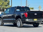 2025 F-150 Thumbnail 8