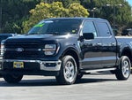 2025 F-150 Thumbnail 10
