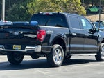 2025 F-150 Thumbnail 4