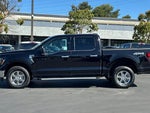 2025 F-150 Thumbnail 9