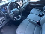 2025 F-150 Thumbnail 12