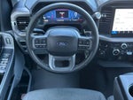 2025 F-150 Thumbnail 16