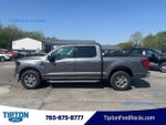 2025 F-150 Thumbnail 4