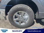 2025 F-150 Thumbnail 6