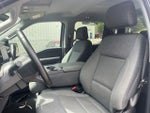 2025 F-150 Thumbnail 11