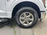 2025 F-150 Thumbnail 19