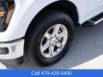 2025 F-150 Thumbnail 10