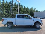 2025 F-150 Thumbnail 20
