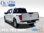2025 F-150 Thumbnail 3