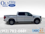 2025 F-150 Thumbnail 6