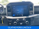 2025 F-150 Thumbnail 14