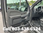 2026 F-150 Thumbnail 5
