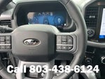 2026 F-150 Thumbnail 17