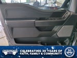 2024 F-150 Thumbnail 13